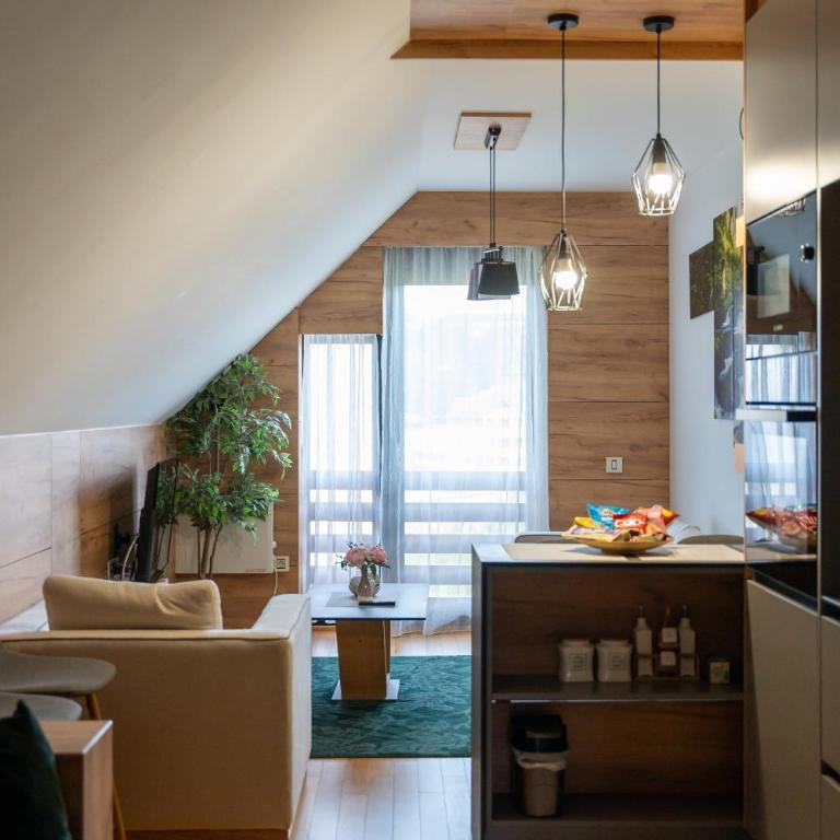 ZlatiborView Apartment 2 - One-Bedroom Apartment - 10