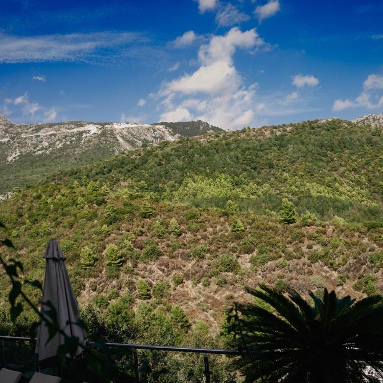 Montehome - One-Bedroom Apartment - 46