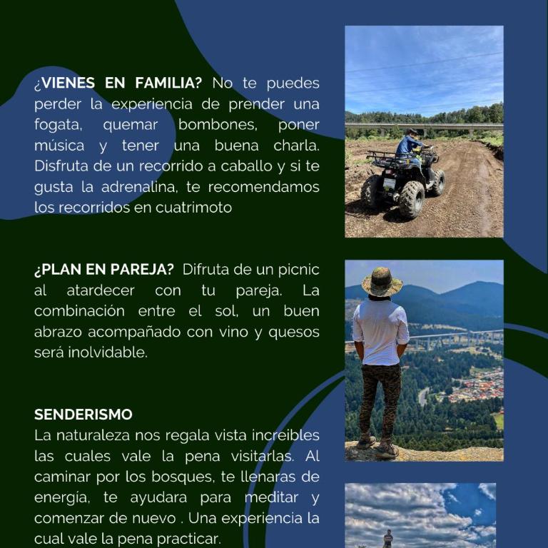 Bosque de Perlillas - Superior Chalet - 6