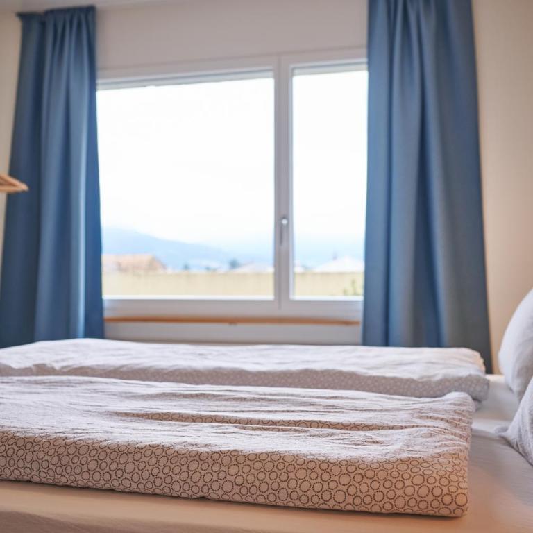 Stay Switzerland Apartments - Top of Interlaken - 4