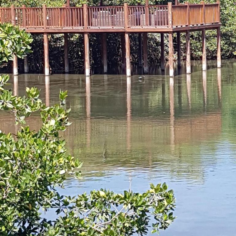 PENTHOUSE DE LUJO CON PLAYA PRIVADA en Pozos Clorados - Apartamento de 3 dormitorios - 36