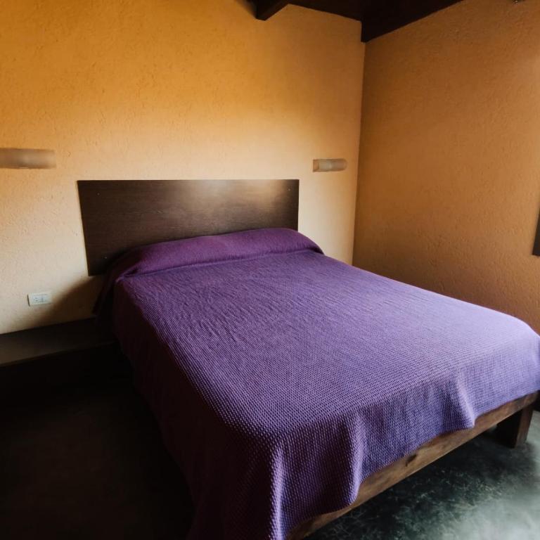 Cabañas De La Vertiente - One-Bedroom Chalet - 1