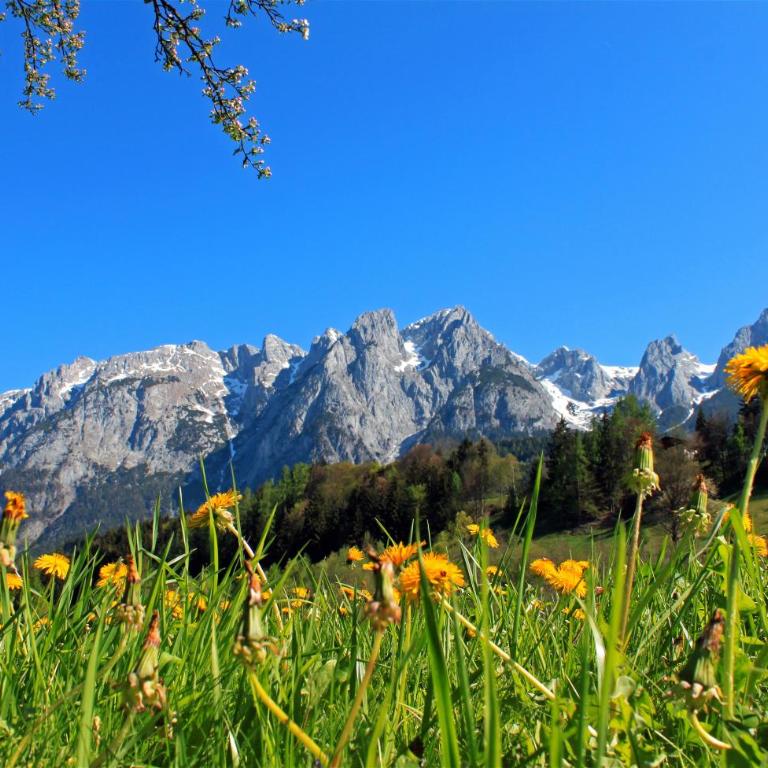 Pension Sonneck - Doppelzimmer mit Bergblick - 22