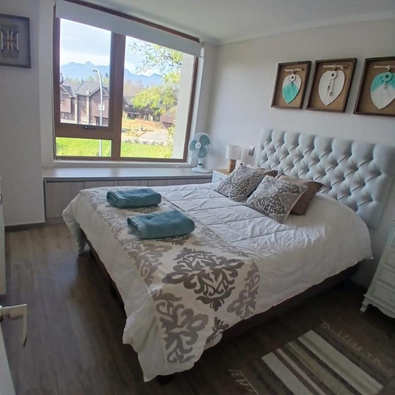 CONDOMINIO LOS CASTAÑOS ALICURA, PUCÓN, departamento 2 dormitorios, 1 baño, estacionamiento, piscina - Two-Bedroom Apartment - 14
