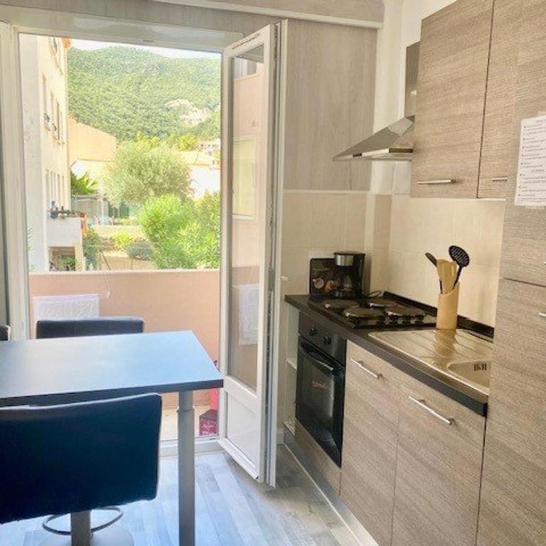Appartement F2 rénové centre-ville Amélie-les-Bains - Appartement 1 Chambre - 1