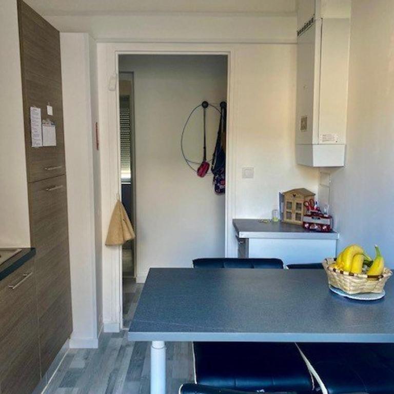Appartement F2 rénové centre-ville Amélie-les-Bains - Appartement 1 Chambre - 4