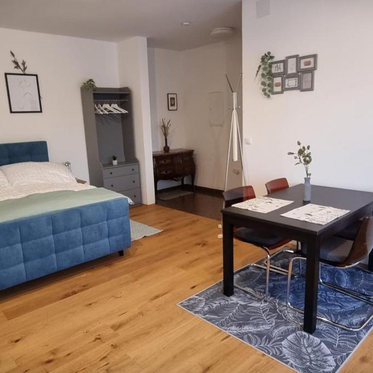 Apartments in Graz - Studio mit Terrasse - 5