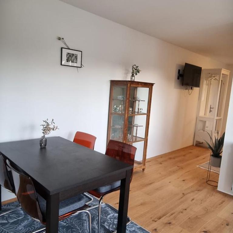 Apartments in Graz - Deluxe Studio mit Doppelbett - 9