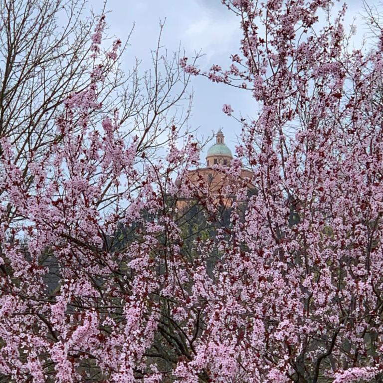 San Luca Exclusive Apartment - Appartamento con 2 Camere da Letto - 35