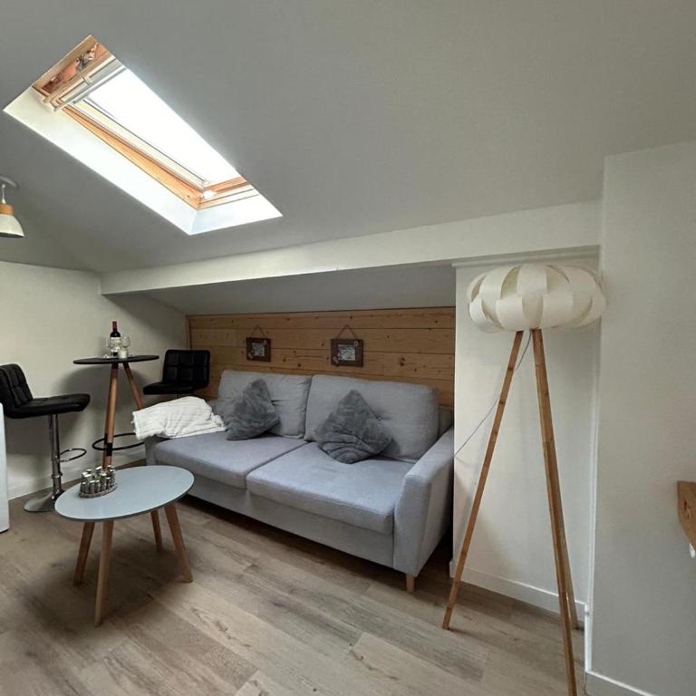 Superbe T2 meublé hyper centre - Appartement 1 Chambre - 9