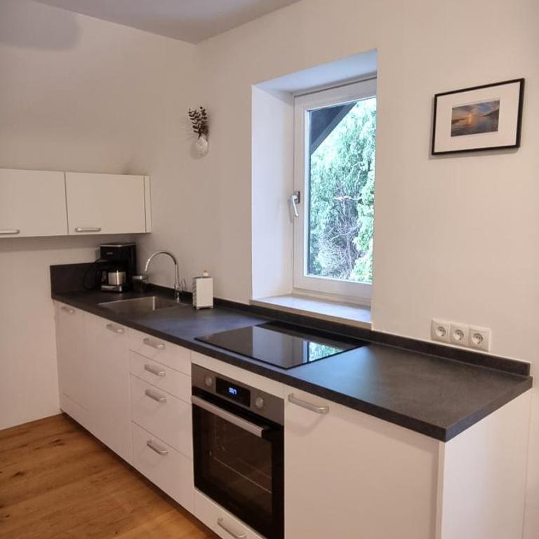 Apartments in Graz - Studio mit Balkon - 4