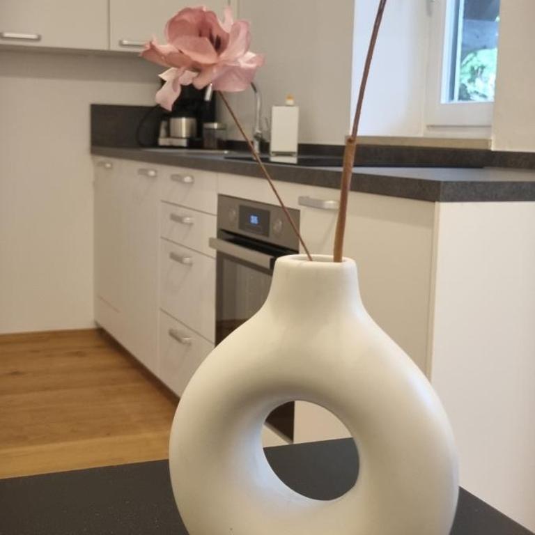 Apartments in Graz - Studio mit Balkon - 6