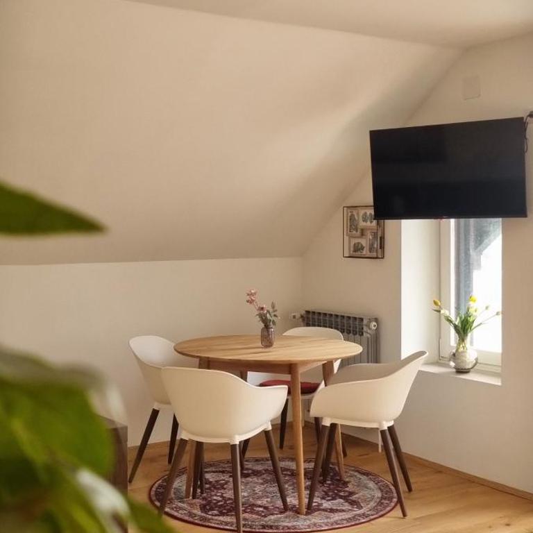 Apartments in Graz - Studio mit Balkon - 1