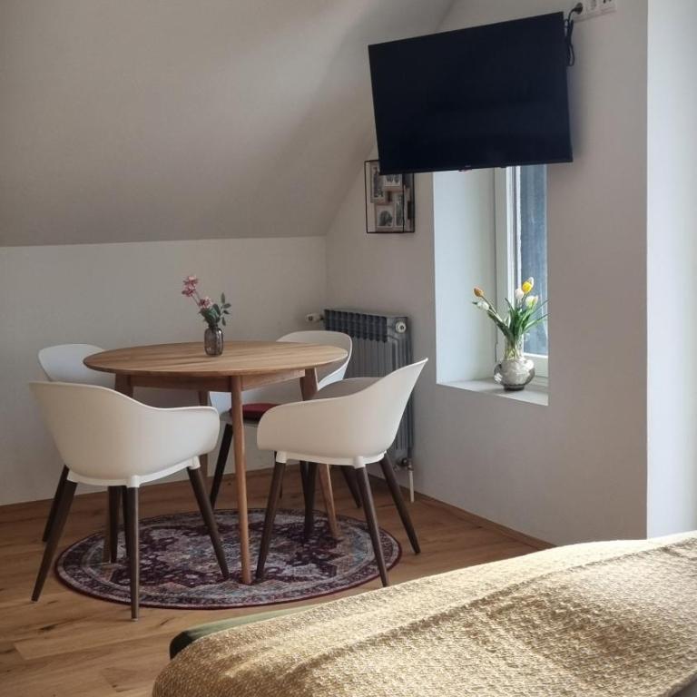 Apartments in Graz - Studio mit Balkon - 3