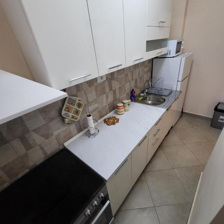 Centre Podgorica apartment - One-Bedroom Apartment - 9