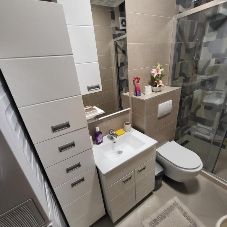 Centre Podgorica apartment - One-Bedroom Apartment - 19