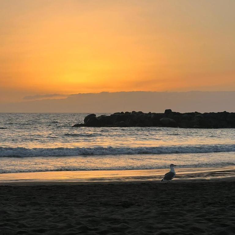 Quite beach escape- Playa las Americas - Apartamento de 1 dormitorio - 33