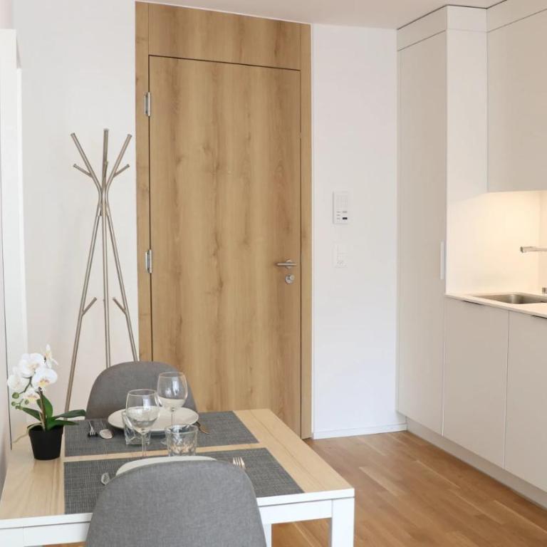 Lausanne City Center Apartments, Minutes Away from the Lake! AM53 - Deluxe Studio mit Queensize-Bett - 7
