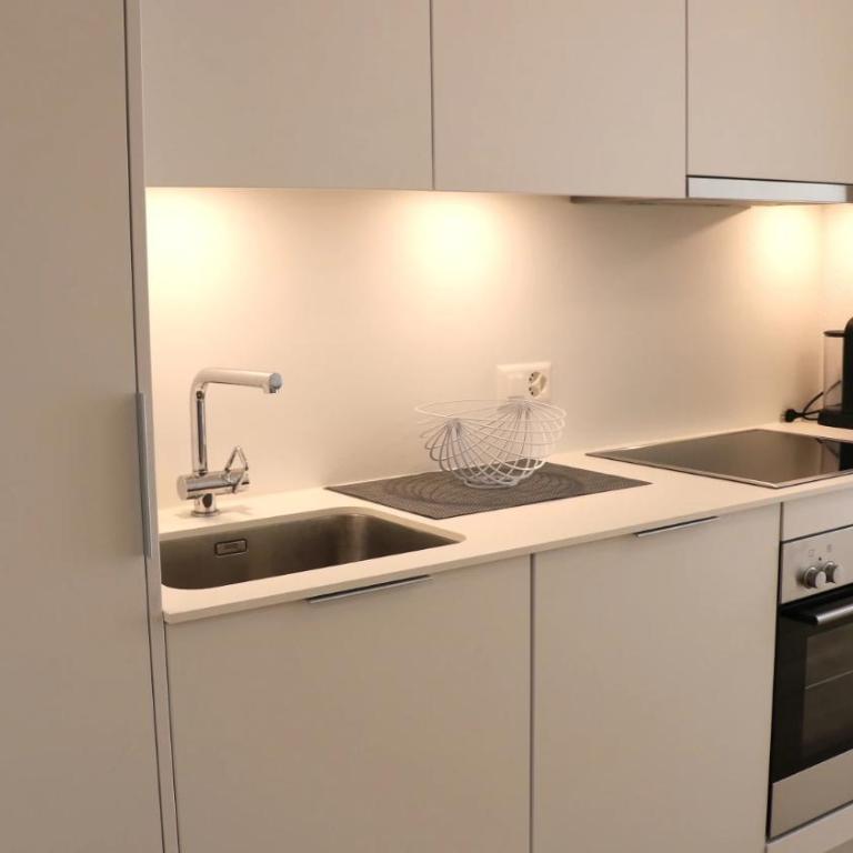 Lausanne City Center Apartments, Minutes Away from the Lake! AM53 - Deluxe Studio mit Queensize-Bett - 4