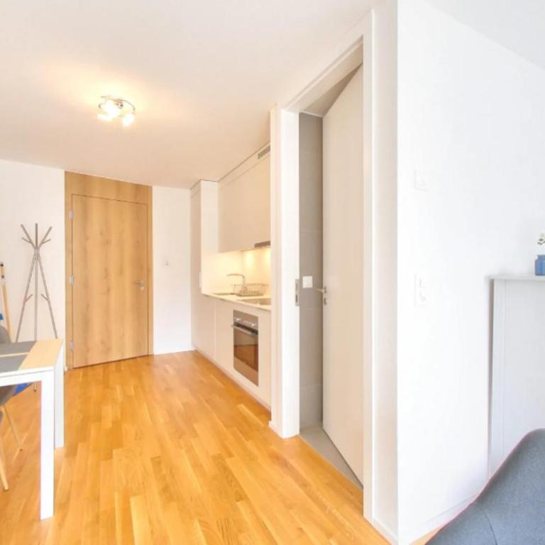 Lausanne City Center Apartments, Minutes Away from the Lake! AM53 - Deluxe Studio mit Queensize-Bett - 8