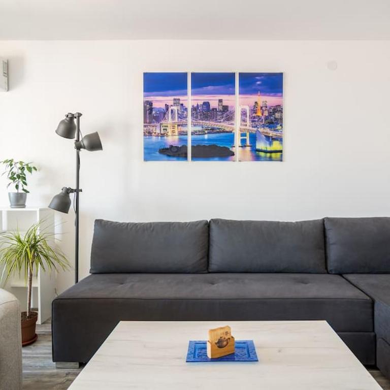 Tokio Apartment - One-Bedroom Apartment - 9