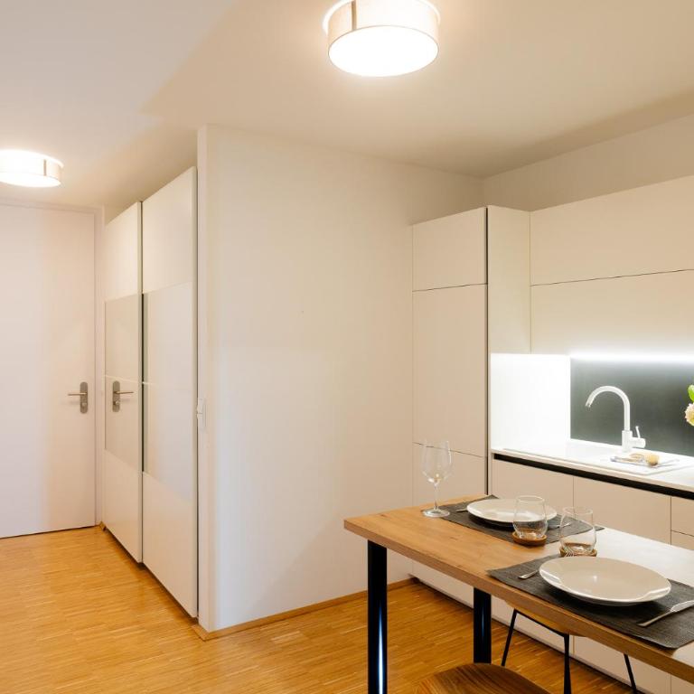 Happy Stay Rentals Harrachgasse - Studio - 19
