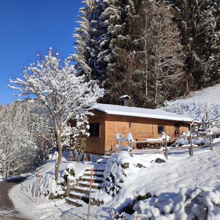 Ferienhaus Strauss - Ferienhaus mit Dusche - 1
