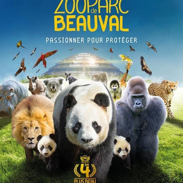Les capucines proche Beauval & châteaux - Haus mit 3 Schlafzimmern - 33