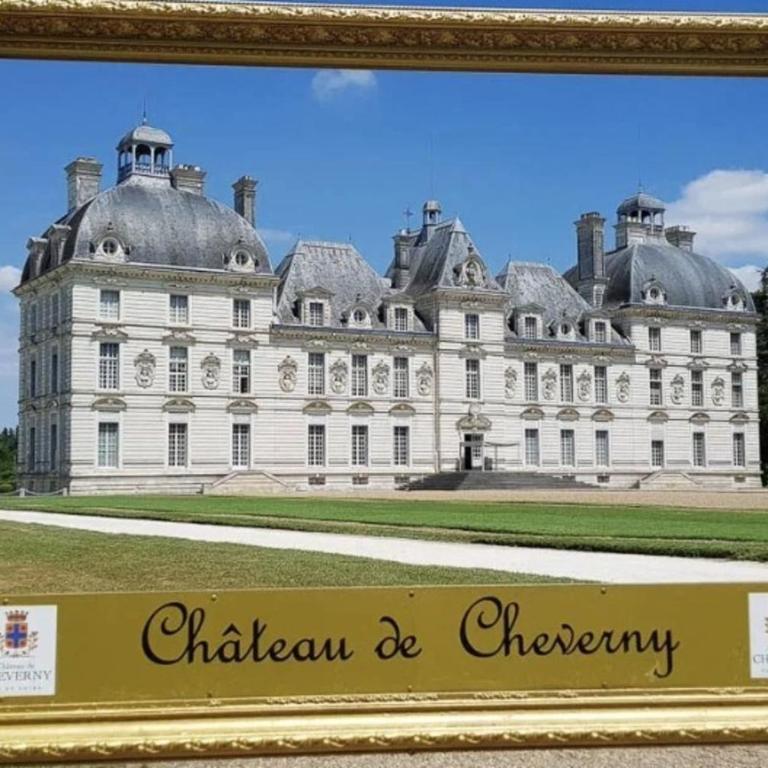 Les capucines proche Beauval & châteaux - Haus mit 3 Schlafzimmern - 34