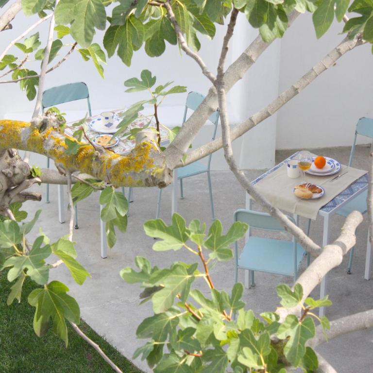 Hotel Intorno Al Fico - Camera Matrimoniale con Vista Giardino - 25