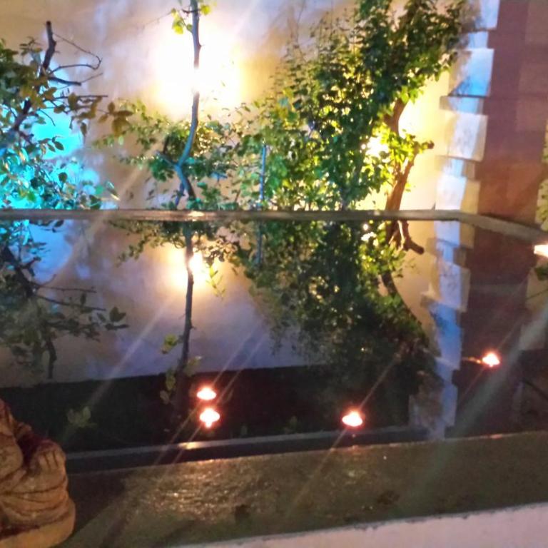 Masseria Villa Marchesi - Appartamento con 2 Camere da Letto - 1