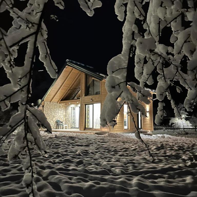 Vikendica The View Jahorina Pale - Two-Bedroom Villa - 11