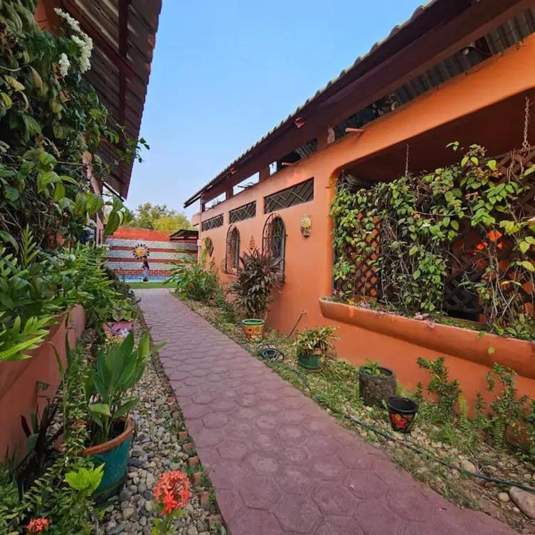 Bungalows Puerto del Sol - Apartamento de 1 dormitorio - 3