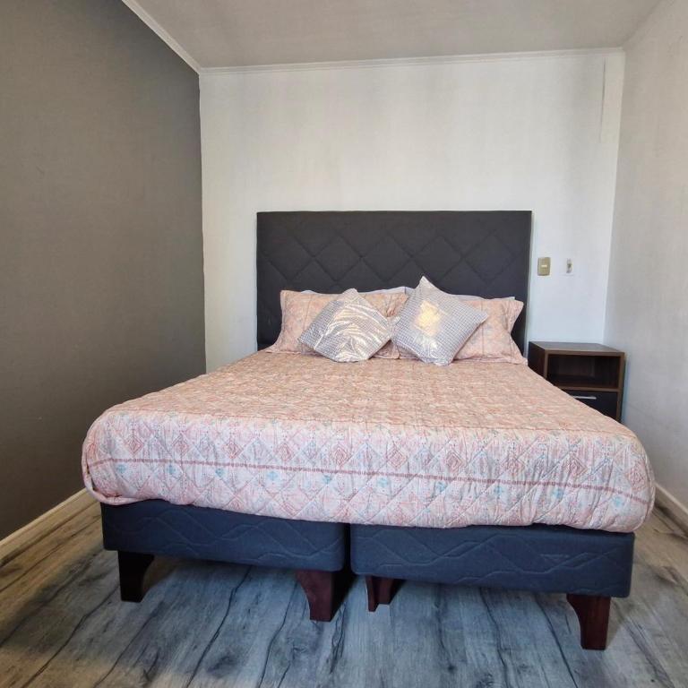 Excelente Precio ,ubicación ,Santiago centro 2 - Apartamento de 1 dormitorio - 24