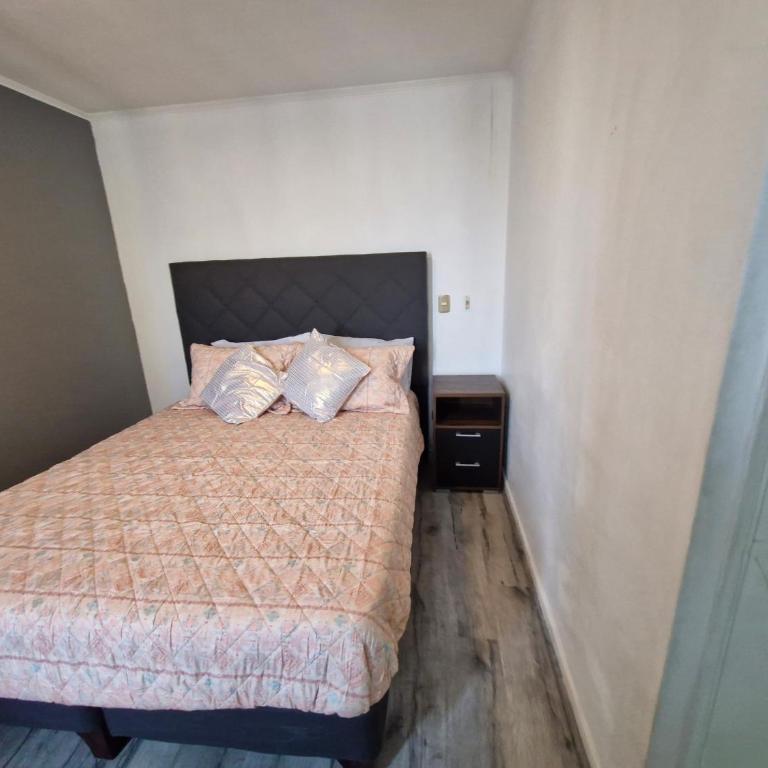 Excelente Precio ,ubicación ,Santiago centro 2 - Apartamento de 1 dormitorio - 28