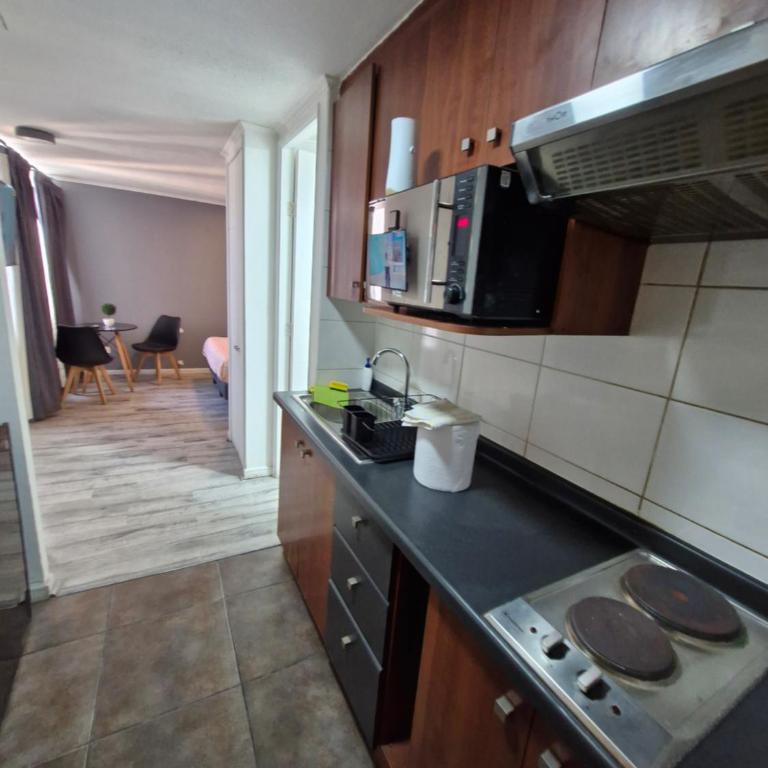 Excelente Precio ,ubicación ,Santiago centro 2 - Apartamento de 1 dormitorio - 65