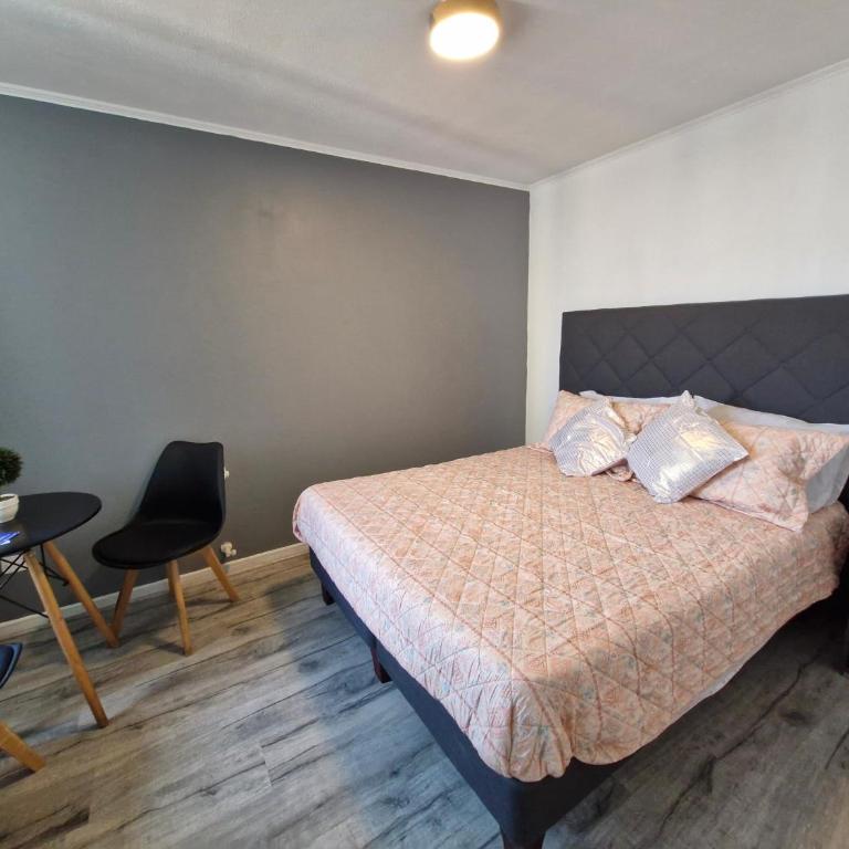 Excelente Precio ,ubicación ,Santiago centro 2 - Apartamento de 1 dormitorio - 66