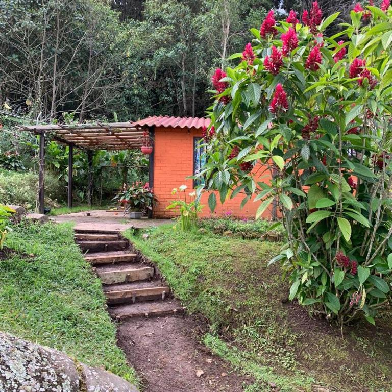 El Barranquero - Casa con 1 dormitorio - 14