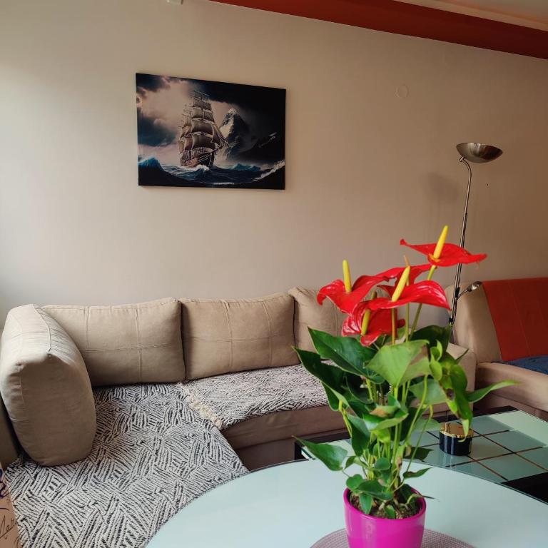 Maja Apartment - Apartman sa 1 Spavaćom Sobom - 4