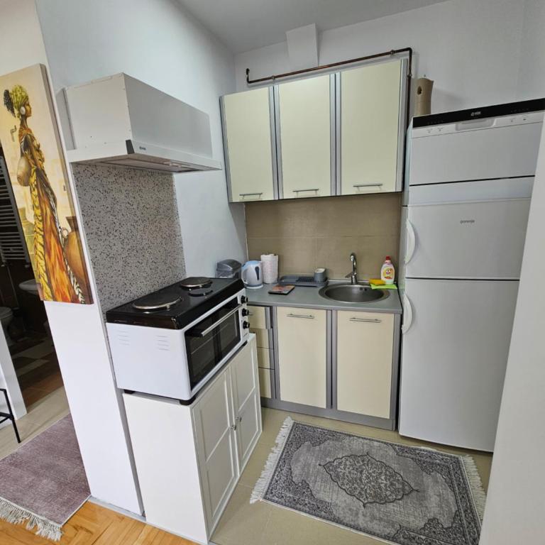 Iskra Apartment - One-Bedroom Apartment - 5