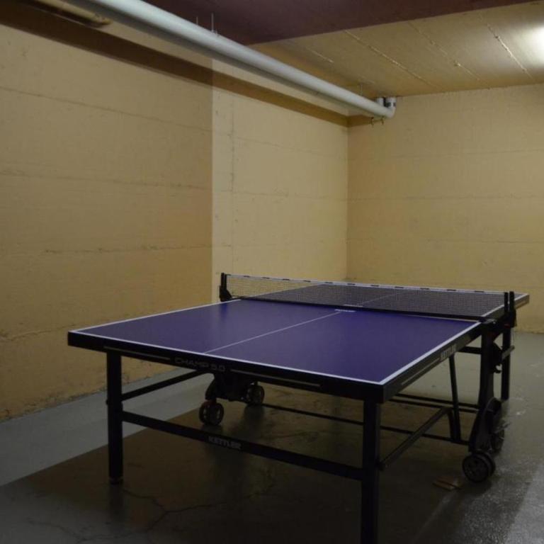 Studio up to 4 Panorama 66 Les Collons Suisse - Apartment mit 1 Schlafzimmer - 9