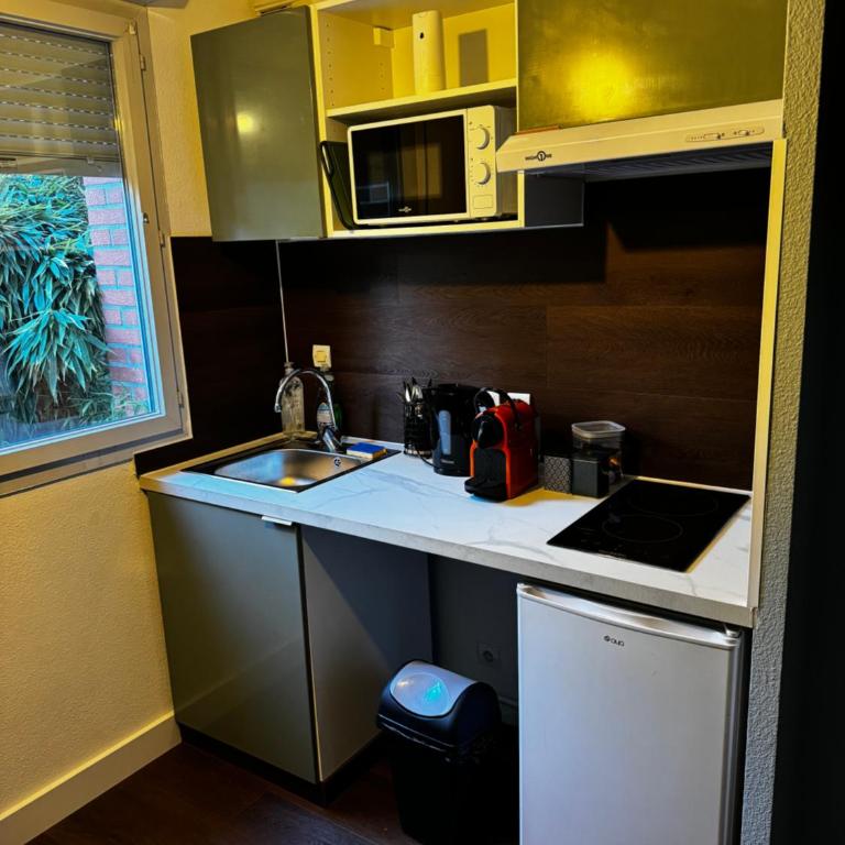 Loft Geek avec terrasse, piscine & parking - proche métro - Toulouse - Apartment mit 1 Schlafzimmer - 27