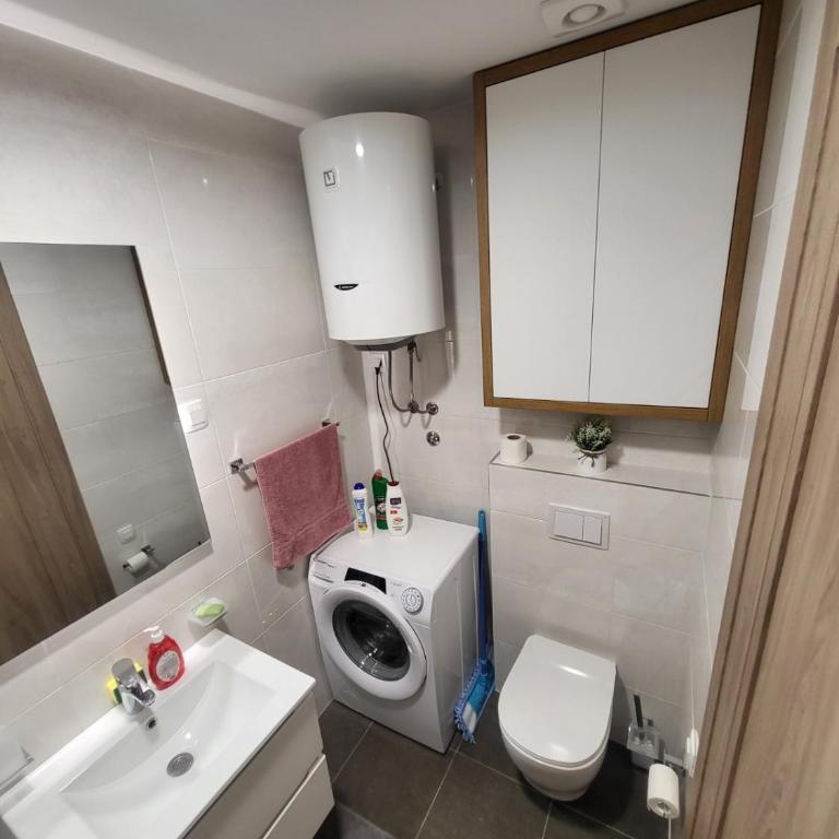 Master apartment Podgorica - Apartman sa 1 Spavaćom Sobom - 5