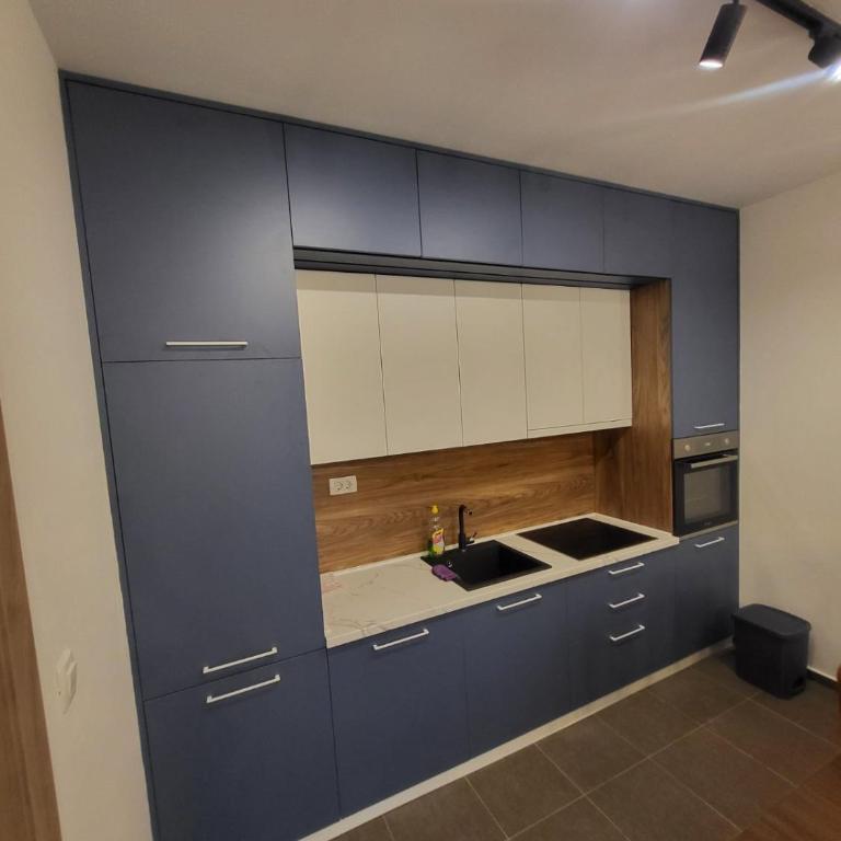 Master apartment Podgorica - Apartman sa 1 Spavaćom Sobom - 8