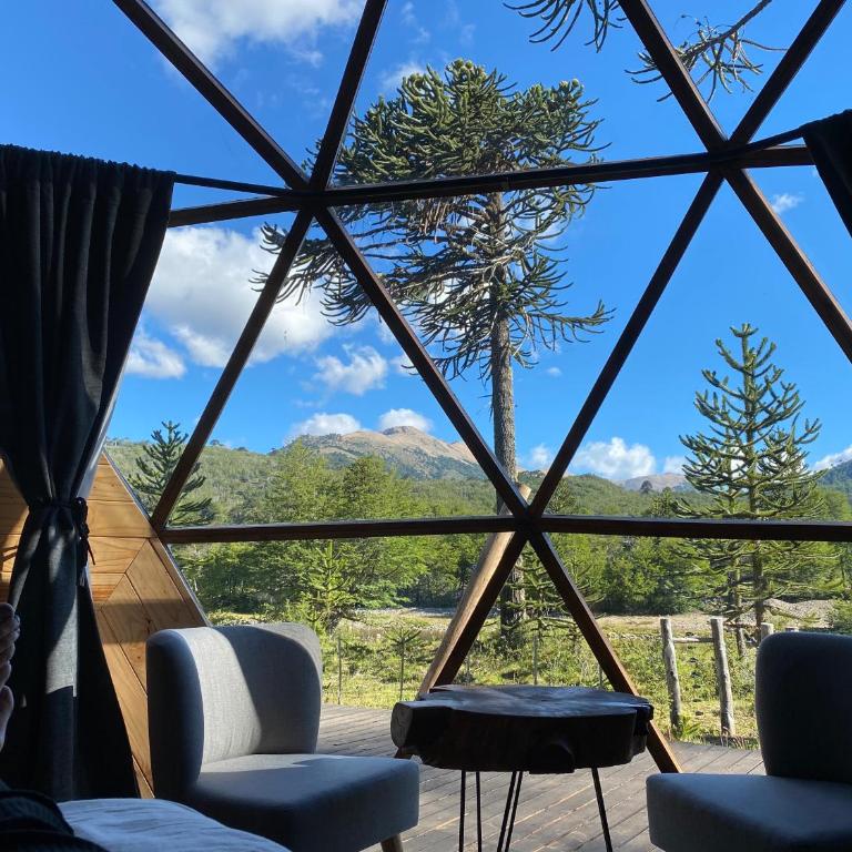Domos Moquehue - Apartamento de 1 dormitorio con vistas al jardín - 22