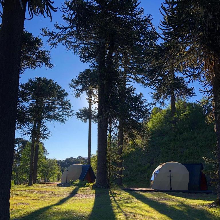 Domos Moquehue - Apartamento de 1 dormitorio con vistas al jardín - 23