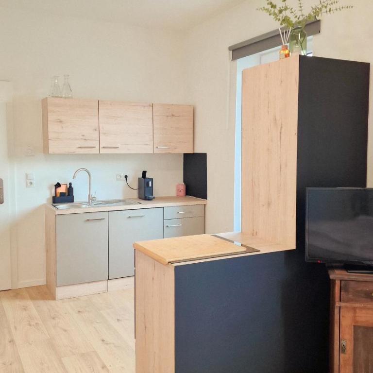 Apartments nahe der Südsteirischen Weinstraße - Studio-Apartment mit 1 Doppelbett - 13