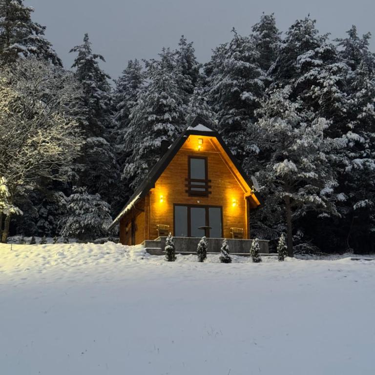 Planinska kuća "Soko' Romanija" - Two-Bedroom House - 2