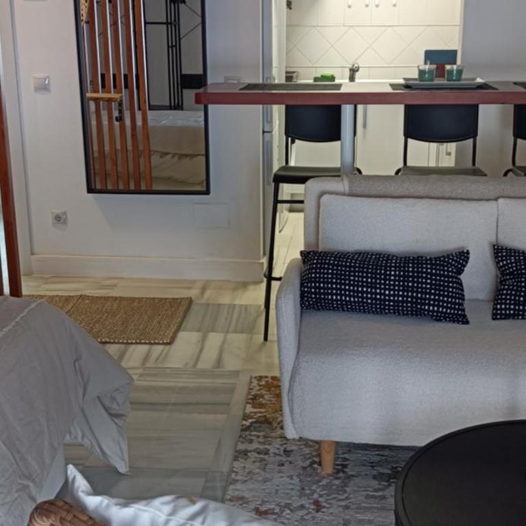 Estudio Centro Málaga Terraza y Barbacoa - Apartamento de 1 dormitorio - 2