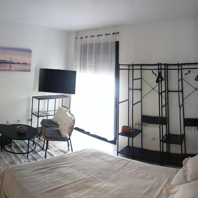Estudio Centro Málaga Terraza y Barbacoa - Apartamento de 1 dormitorio - 1